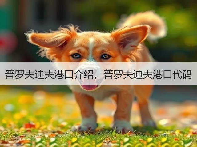 普罗夫迪夫港口介绍，普罗夫迪夫港口代码(图1)