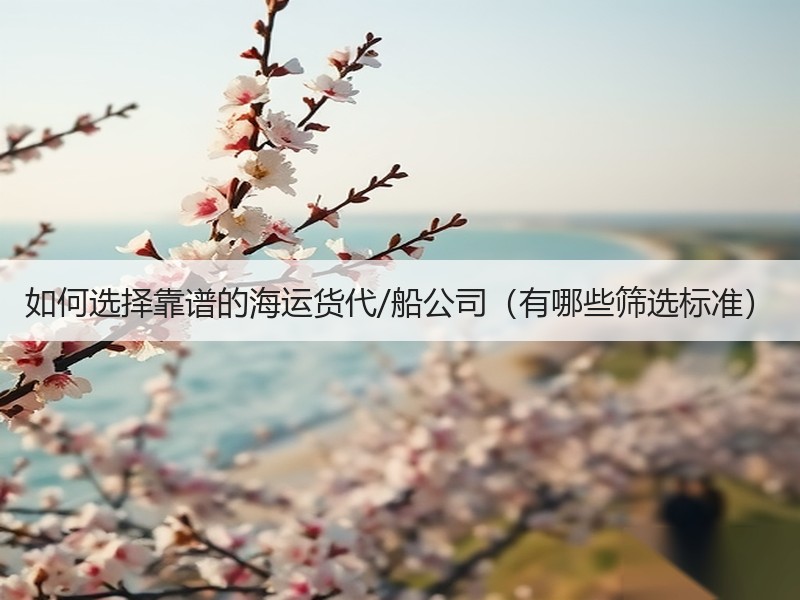 如何选择靠谱的海运货代/船公司（有哪些筛选标准）