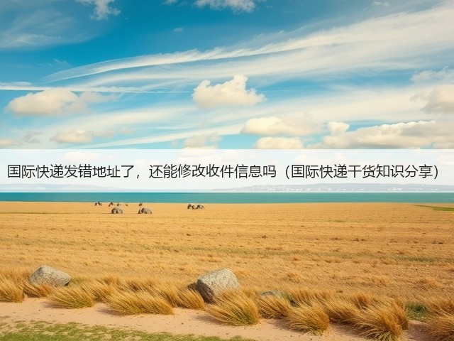 国际快递发错地址了，还能修改收件信息吗（国际快递干货知识分享）(图3)