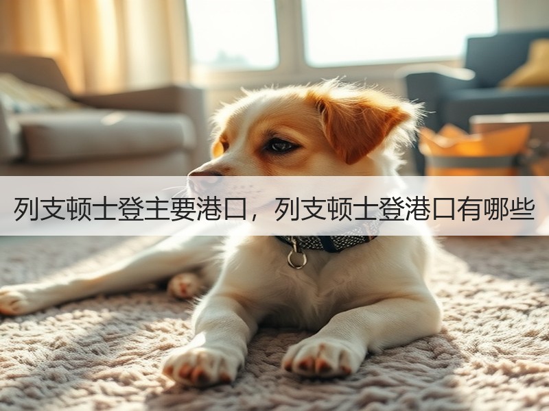 列支顿士登主要港口，列支顿士登港口有哪些