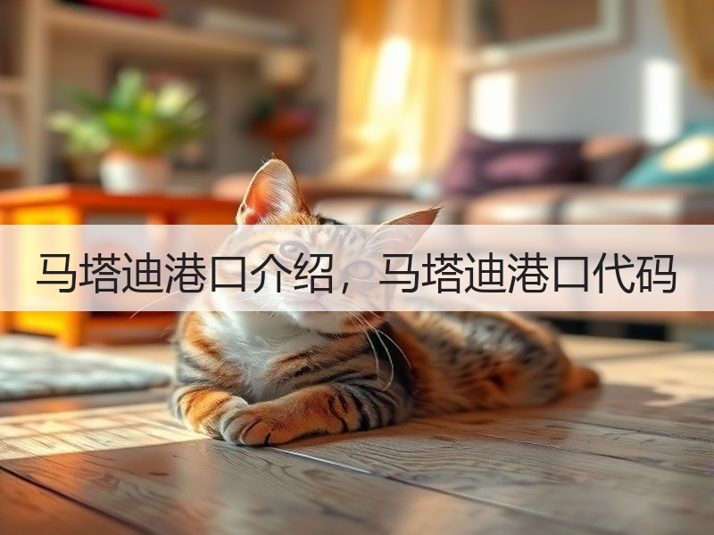 马塔迪港口介绍，马塔迪港口代码