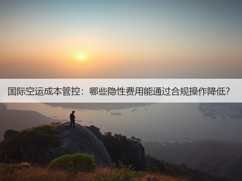 国际空运成本管控：哪些隐性费用能通过合规操作降低？