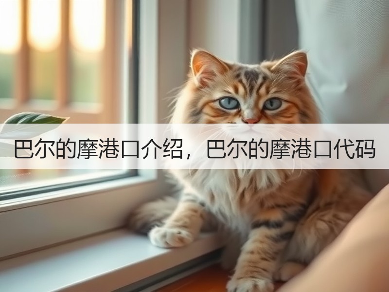 巴尔的摩港口介绍，巴尔的摩港口代码