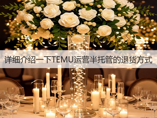 详细介绍一下TEMU运营半托管的退货方式(图3)