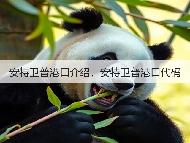 安特卫普港口介绍,安特卫普港口代码(图1) 安特卫普港口介绍,安特卫普港口代码(图1)