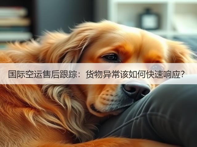 国际空运售后跟踪：货物异常该如何快速响应？(图2)