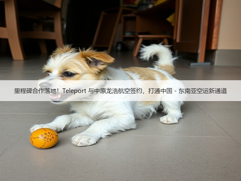 里程碑合作落地!Teleport 与中原龙浩航空签约,打通中国 - 东南亚空运新通道 里程碑合作落地!Teleport 与中原龙浩航空签约,打通中国 - 东南亚空运新通道