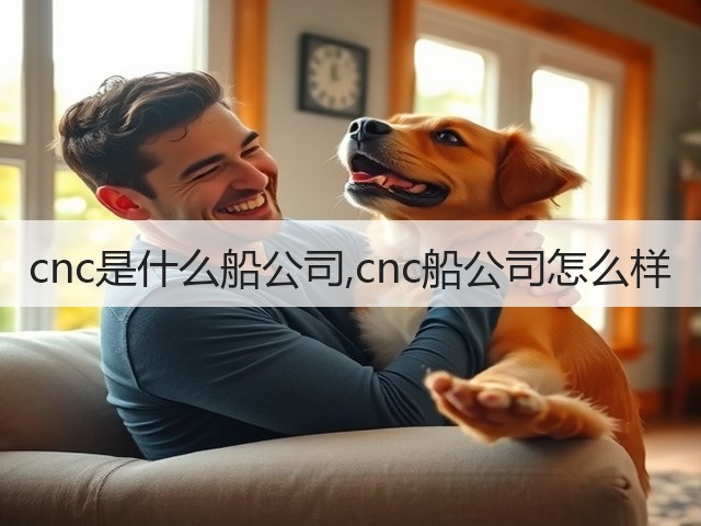 cnc是什么船公司,cnc船公司怎么样(图1)