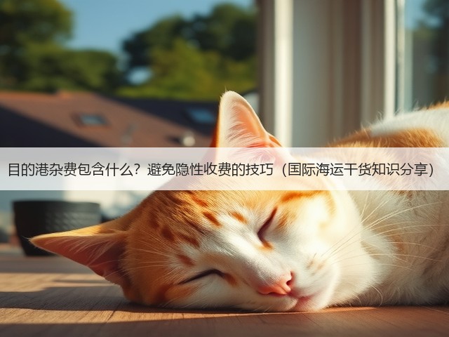 目的港杂费包含什么？避免隐性收费的技巧（国际海运干货知识分享）(图1)