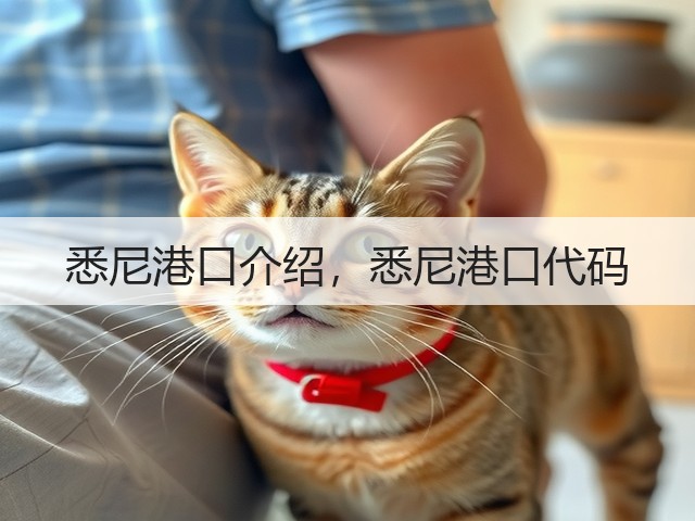 悉尼港口介绍，悉尼港口代码(图3)