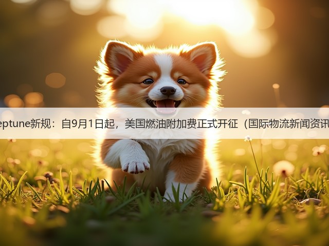 Neptune新规：自9月1日起，美国燃油附加费正式开征（国际物流新闻资讯）(图1)