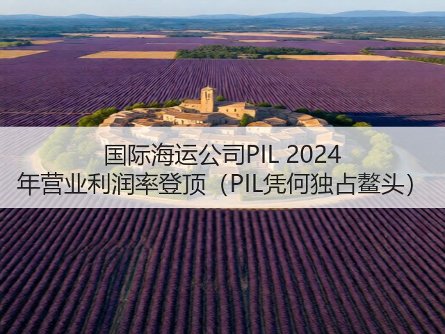 国际海运公司PIL 2024 年营业利润率登顶（PIL凭何独占鳌头）(图3)