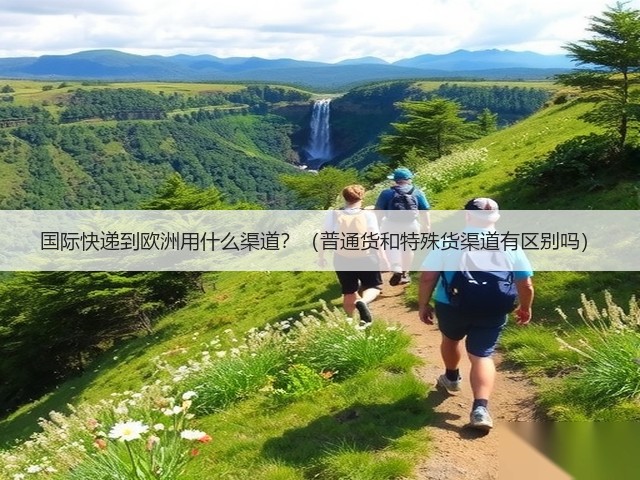 国际快递到欧洲用什么渠道?(普通货和特殊货渠道有区别吗)(图2) 国际快递到欧洲用什么渠道?(普通货和特殊货渠道有区别吗)(图2)