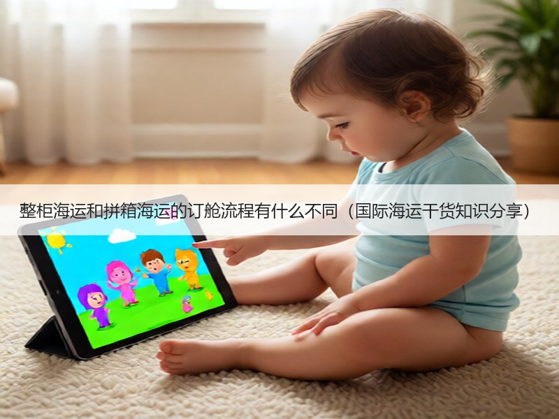 整柜海运和拼箱海运的订舱流程有什么不同（国际海运干货知识分享）
