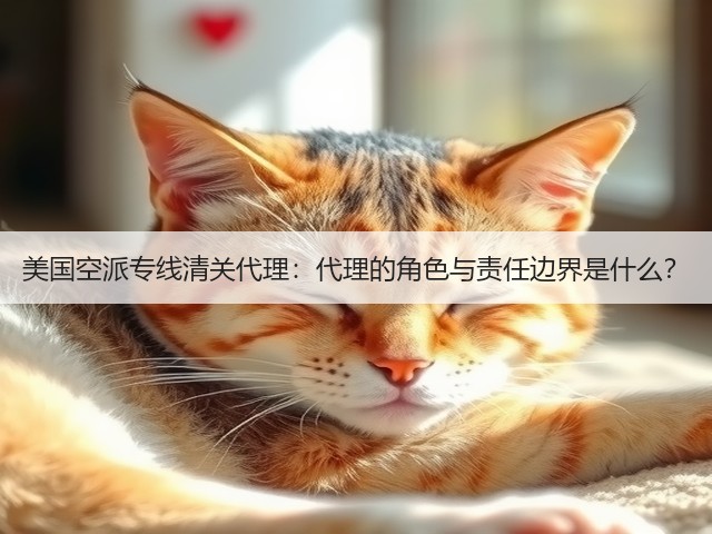 美国空派专线清关代理：代理的角色与责任边界是什么？(图1)