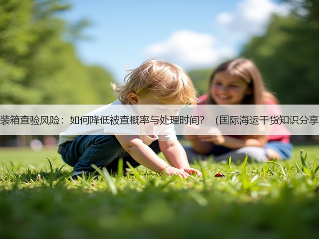 集装箱查验风险:如何降低被查概率与处理时间?(国际海运干货知识分享)(图3) 集装箱查验风险:如何降低被查概率与处理时间?(国际海运干货知识分享)(图3)