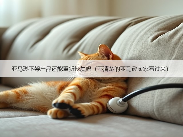 亚马逊下架产品还能重新恢复吗（不清楚的亚马逊卖家看过来）(图3)