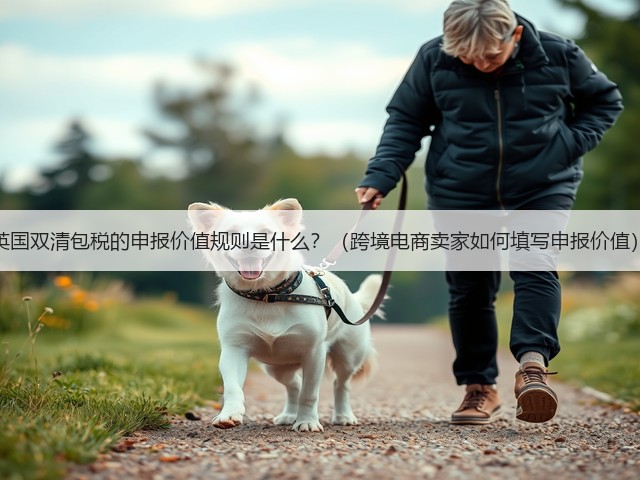 英国双清包税的申报价值规则是什么？（跨境电商卖家如何填写申报价值）(图1)