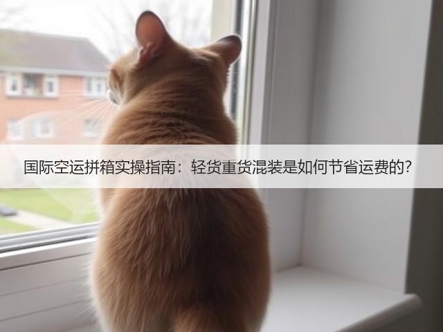 国际空运拼箱实操指南:轻货重货混装是如何节省运费的?(图3) 国际空运拼箱实操指南:轻货重货混装是如何节省运费的?(图3)