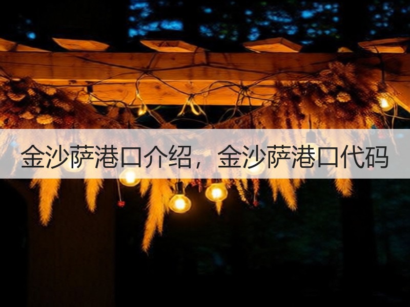 金沙萨港口介绍，金沙萨港口代码