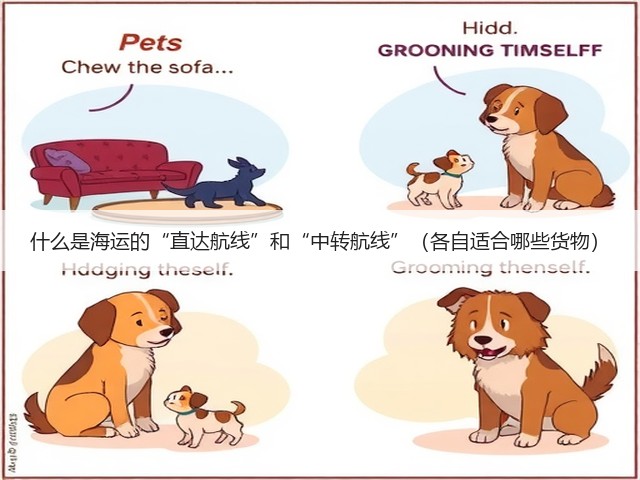 什么是海运的“直达航线”和“中转航线”(各自适合哪些货物)(图2) 什么是海运的“直达航线”和“中转航线”(各自适合哪些货物)(图2)
