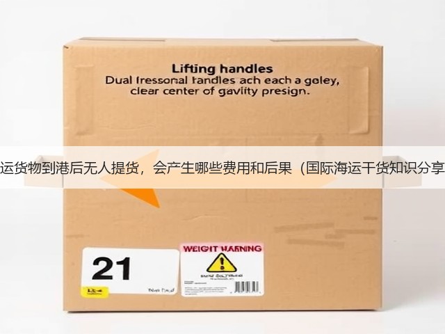 海运货物到港后无人提货，会产生哪些费用和后果（国际海运干货知识分享）(图1)