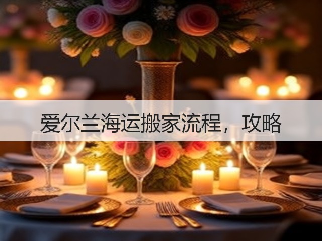 爱尔兰海运搬家流程，攻略(图2)