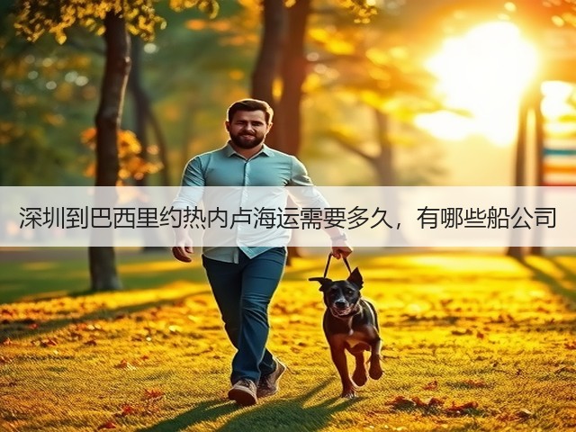 深圳到巴西里约热内卢海运需要多久,有哪些船公司(图2) 深圳到巴西里约热内卢海运需要多久,有哪些船公司(图2)
