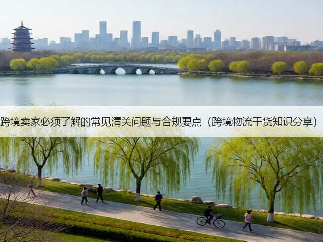 跨境卖家必须了解的常见清关问题与合规要点(跨境物流干货知识分享)(图1) 跨境卖家必须了解的常见清关问题与合规要点(跨境物流干货知识分享)(图1)