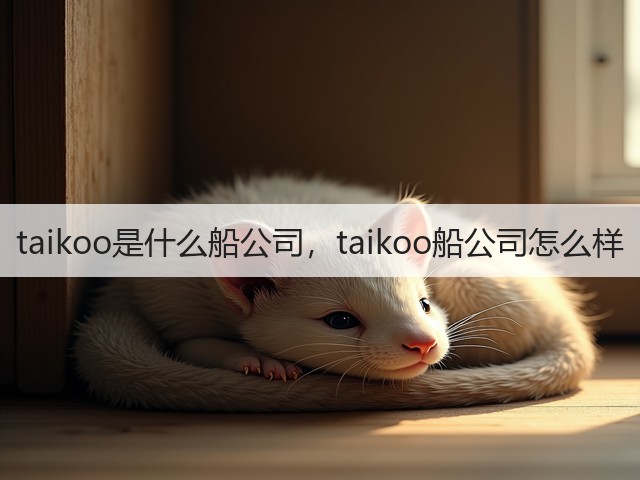 taikoo是什么船公司，taikoo船公司怎么样(图1)