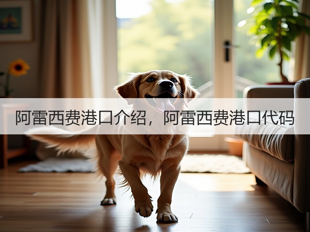 阿雷西费港口介绍,阿雷西费港口代码(图1) 阿雷西费港口介绍,阿雷西费港口代码(图1)