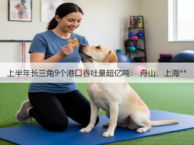 上半年长三角9个港口吞吐量超亿吨： 舟山、上海**(图3)