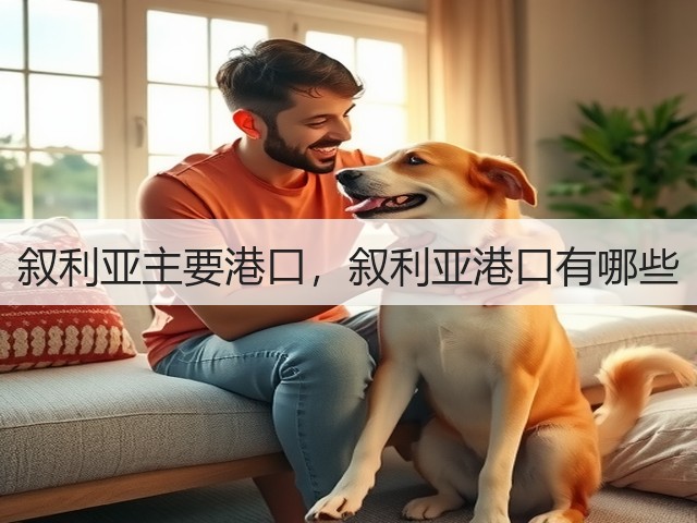 叙利亚主要港口，叙利亚港口有哪些(图2)