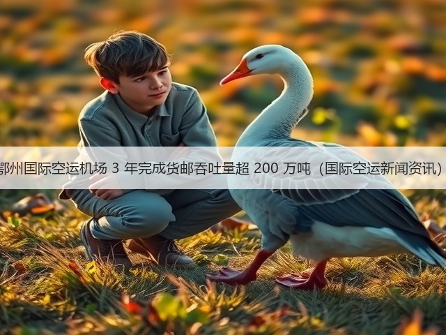 鄂州国际空运机场 3 年完成货邮吞吐量超 200 万吨（国际空运新闻资讯）(图3)