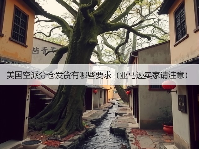 美国空派分仓发货有哪些要求(亚马逊卖家请注意)(图3) 美国空派分仓发货有哪些要求(亚马逊卖家请注意)(图3)