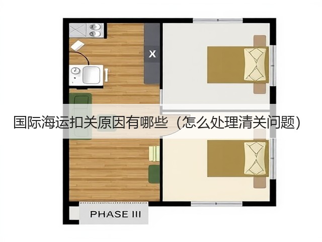 国际海运扣关原因有哪些（怎么处理清关问题）(图2)