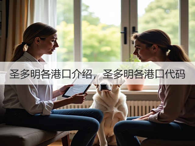 圣多明各港口介绍,圣多明各港口代码(图3) 圣多明各港口介绍,圣多明各港口代码(图3)