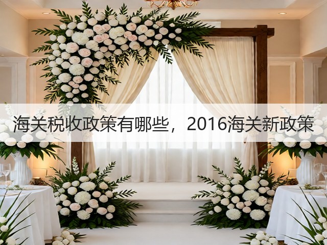 海关税收政策有哪些，2016海关新政策(图3)