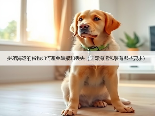 拼箱海运的货物如何避免破损和丢失(国际海运包装有哪些要求)(图1) 拼箱海运的货物如何避免破损和丢失(国际海运包装有哪些要求)(图1)