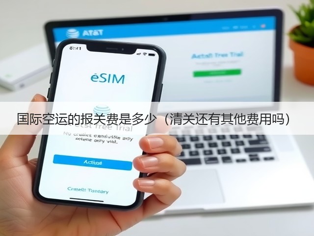 国际空运的报关费是多少（清关还有其他费用吗）(图1)