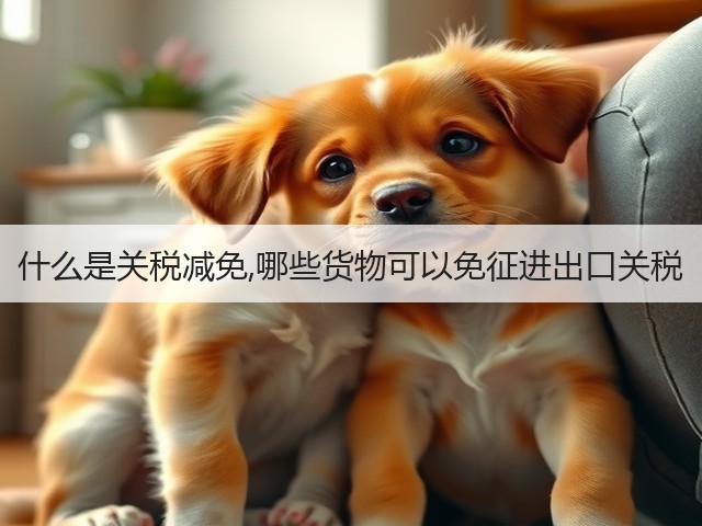 什么是关税减免,哪些货物可以免征进出口关税(图1)