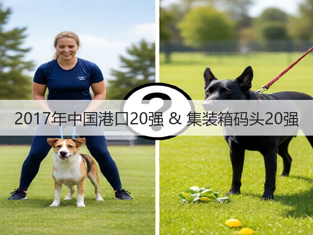 2017年中国港口20强 & 集装箱码头20强(图2)