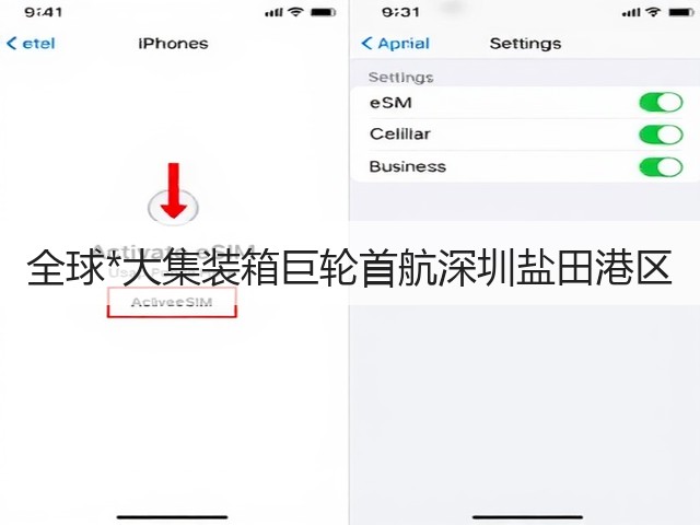 全球*大集装箱巨轮首航深圳盐田港区(图3)