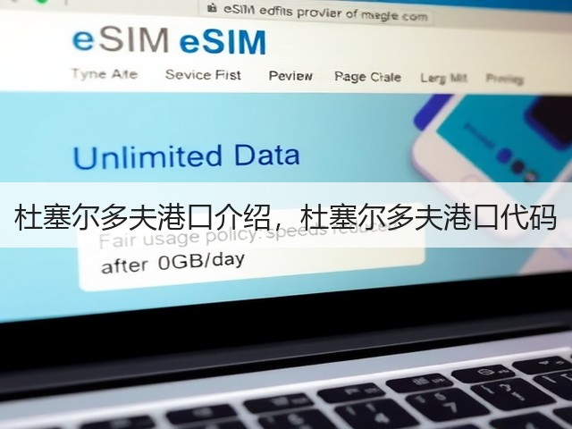 杜塞尔多夫港口介绍，杜塞尔多夫港口代码(图2)