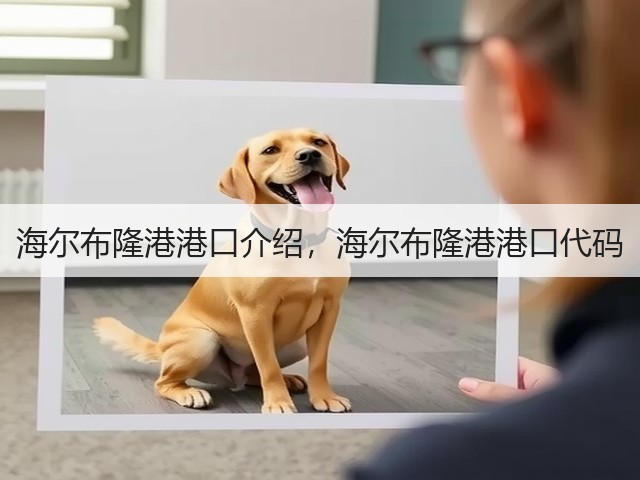海尔布隆港港口介绍,海尔布隆港港口代码(图1) 海尔布隆港港口介绍,海尔布隆港港口代码(图1)