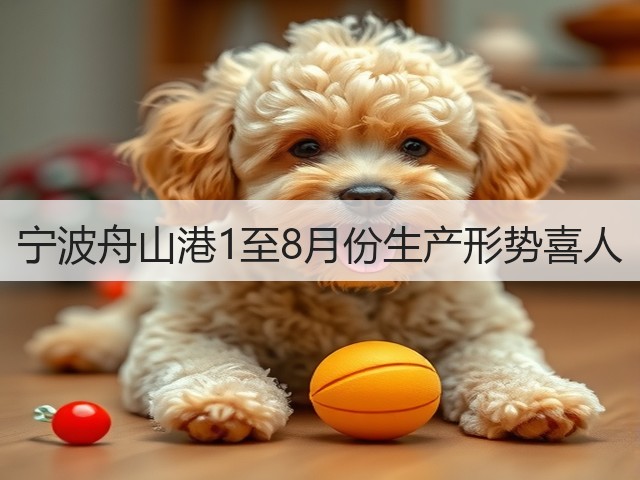 宁波舟山港1至8月份生产形势喜人(图3)