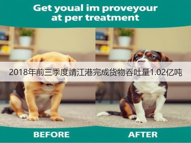 2018年前三季度靖江港完成货物吞吐量1.02亿吨