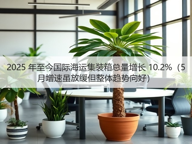 2025 年至今国际海运集装箱总量增长 10.2%（5 月增速虽放缓但整体趋势向好）(图1)