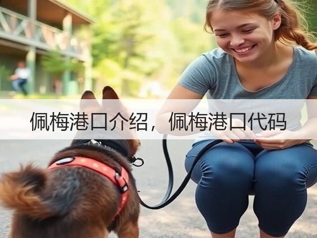 佩梅港口介绍,佩梅港口代码(图1) 佩梅港口介绍,佩梅港口代码(图1)