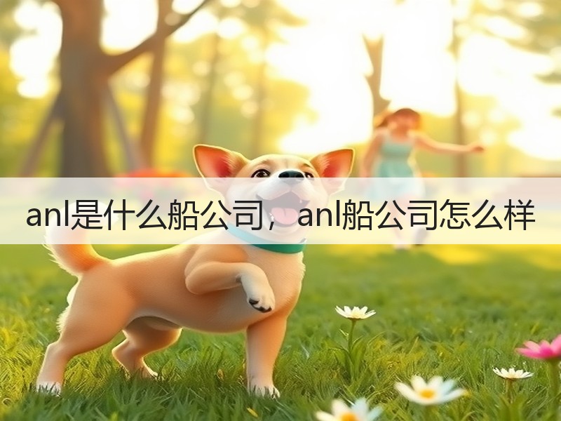 anl是什么船公司，anl船公司怎么样